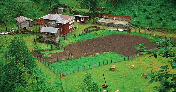 EN GÜZEL TARIM FOTOĞRAFLARI 