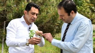 Bahçelerde bereket için uzman tavsiyeleri