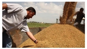 Çiftçi, Buğday Maliyetini Hesaplayıp Fiyat Beklentisini Açıkladı 