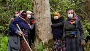 İki fotoğraf, iki farklı hikaye...