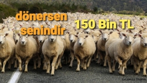 Köye dönüş projesi :Ziraat Bankası'ndan 7 yıl faizsiz kredi