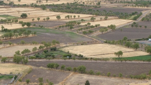 Kuru tarımda büyük zarar! Kuraklık çiftçinin yüzde 80'ini olumsuz etkiledi!