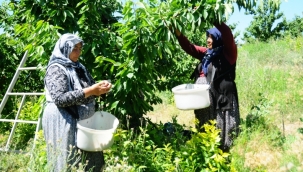 Sınırları kaldırdılar gelirlerini katladılar
