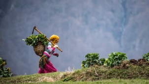 Tarım ve Kırsal Kalkınmayı Destekleme Kurumu: 949 proje için 369 milyon TL destek verildi