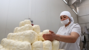 TKDK desteğiyle imalathaneden modern tesise