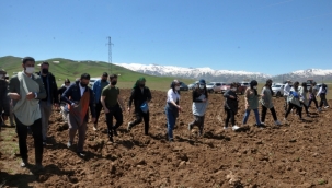 Yüksekova'da kadın eliyle ekim seferberliği