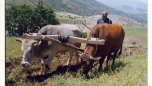  #14Mayıs2021 #Dünya #Çiftçiler #Günü kutlu olsun 