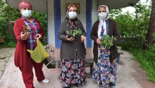 ALTINORDU BELEDİYESİ'NİN ÜCRETSİZ FİDE DAĞITIMI TEŞVİK EDİCİ OLDU