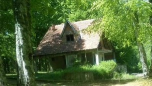 ASLINDA ODUN OLAN BU AĞAÇ DEĞİL BENMİŞİM 