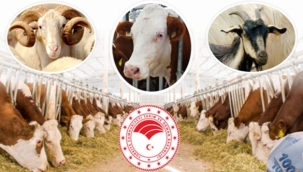 Bakan Pakdemirli: "Yetiştiricilerimize 100 Milyon Liralık Yem Desteği"