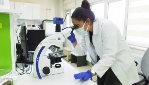 BALIKESİR'DE 30 ÇEŞİT BİTKİDEN 60 AYRI RENK BOYA ELDE Edildi 