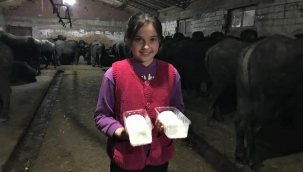 BALIKESİR "MANDA KAYMAĞI" ile KEPSUT BÜYÜKDERE "KÜFLÜ DERİ KATIK PEYNİRİ" TESCİLLENİYOR