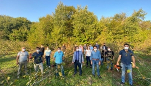 Bartın İlimizde Fındıkta Eğitim Seferberliği 