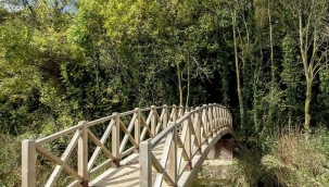 Bu ormana girilmesi yasak ! Sadece bilim insanları girebiliyor...