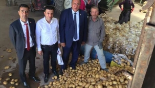 CHP Milletvekili Gürer: En az 100 bin ton patates çürüdü