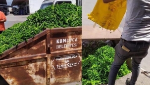 Çiftçilerin hali pürmelali hiç iyi değil !