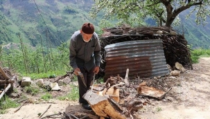 DEDEDEN KALMA TOHUMLARLA 70 YAŞINDA ÇİFTÇİLİK YAPIYOR 