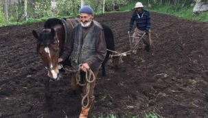 DOĞA ve DOĞAL TARIM