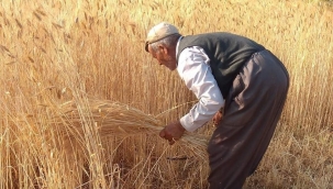Ekmek yerken aklımızda olması dileğiyle...