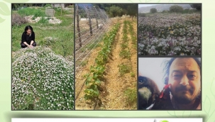 FESKO Kurucularımızı tanıtıyoruz: Nazan Çildoğan Bilici