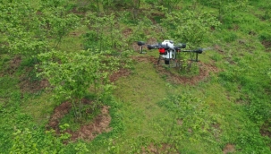 Fındık tarımında bir ilk: ZİHA'lı ilaçlama