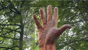 Galler'in en yüksek ağacı fırtınada zarar görünce kesmek yerine oyma ustası bir sanatçıya teslim edilmiş