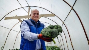 HOBİ AMAÇLI SERA KURAN MÜHENDİS TALEBE YETİŞEMİYOR 