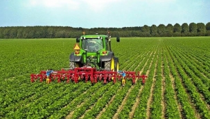 İSTEDİGİNİZ İÇİN HIYAR EKEMEZSİNİZ... HOLLANDATARIM POLİTİKASI: 