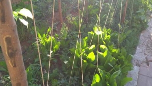 KARA ÇADIRIN KARA EVLADI