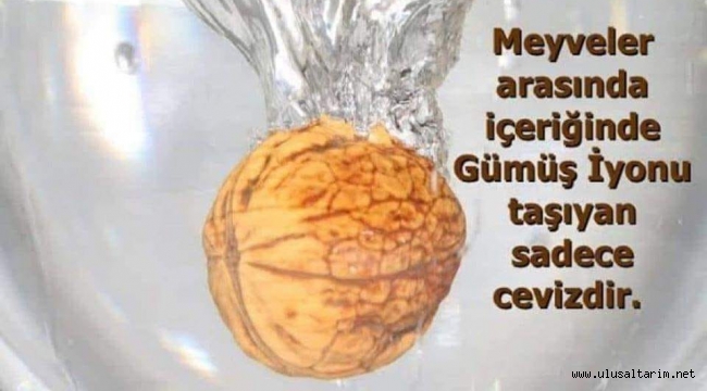 KARA VEBA ve GÜMÜŞ !