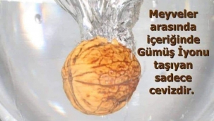 KARA VEBA ve GÜMÜŞ ! 