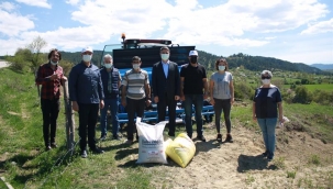 KASTAMONU ŞEYH KÖYÜNDE KARABUĞDAY EKİMİ GERÇEKLEŞTİRİLDİ