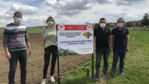 Kastamonulu Genç Kadın Çiftçiler Seren ile Güçleniyor