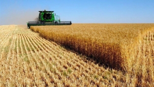 Kazakistan'dan tarım arazilerinin yabancılara satılmasına yasaklama kararı 