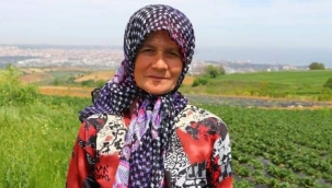 KENDİN TOPLA, KENDİN AL