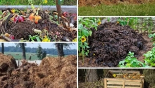 Kimyasal gübre yerine çöp kullanalım !