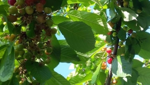 "KÖYLÜ MİLLETİN EFENDİSİDİR"