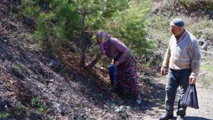 Kuzugöbeği, kilosu 100 TL'den alıcı buluyor