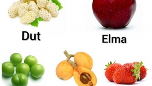 MAYIS AYI MEYVELERİ 