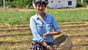 ODTÜ mezunu Aslı Aksoy, kariyerini bırakıp kuşkonmaz üretimine başladı: Pandemiye rağmen 17 tonluk satış yaptı