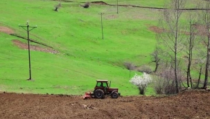 ORDU'NUN ATIL ARAZİLERİ YENİDEN TARIMLA BULUŞTU