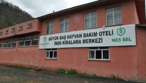Ordu'nun Mesudiye ilçesinde bulunan Hayvan Bakım Oteli örnek bir hizmet...