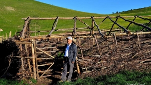 Orman genel müdürlüğü tapulu arazilere bahçe kurulumu için hibe desteği veriyor 