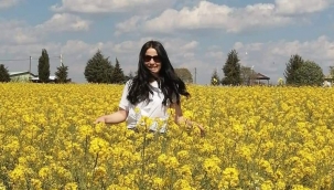 "Sarı Gelin" Kanola, Bu Bahar da Trakya'yı Sarıya Boyadı