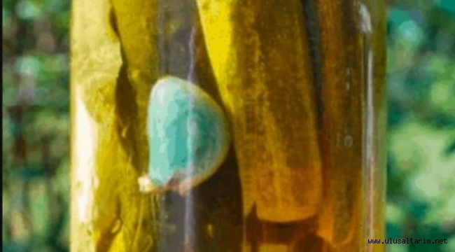 Sarımsak Neden Yeşerir?