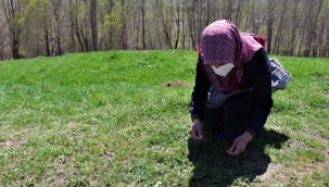 Sivaslıların vazgeçilmezleri arasında yer alan ve türkülere konu olan : M A D I M A K