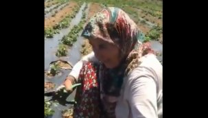 Şu anlatımın güzelliğini, toprağa olan saygını kimse alkışlamazsa biz alkışlarız