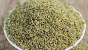 SURİYE TARIMI KURTULDU İHRACAT YAPIYOR! 