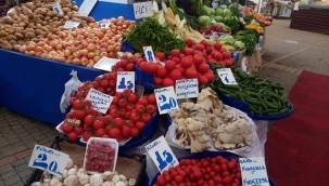 TARIMDA KAYIŞ Koptu 