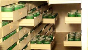 TÜRKİYENİN TOHUM BANKASI